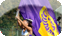 Undergraduate Admissions