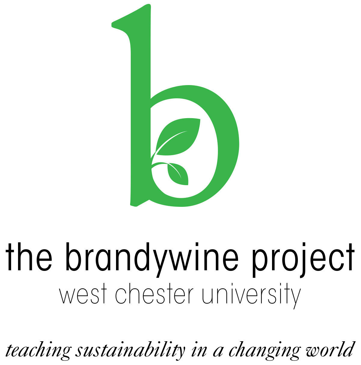 Brandywine project logo icon