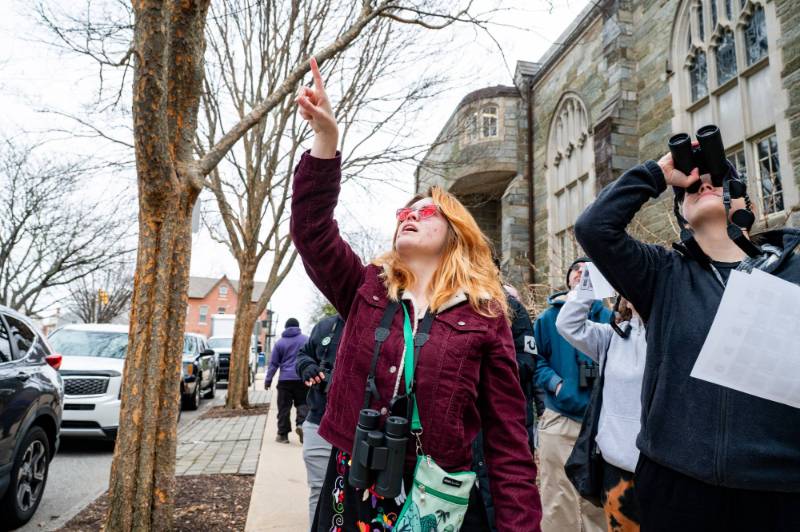 A student birding points up in a tree and spots a bird.