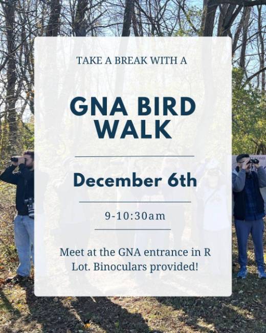 December Bird Walk Flyer