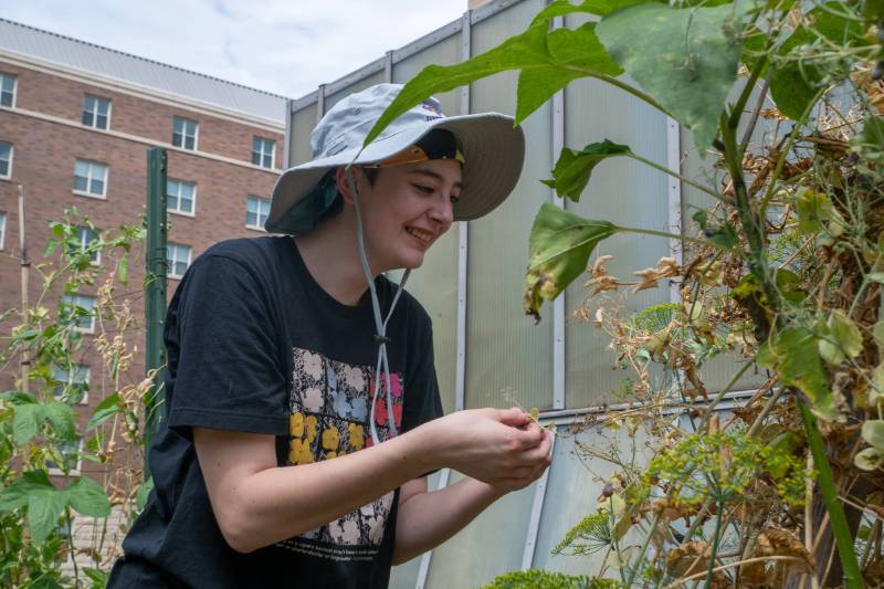 Three students smile sitting at a table for the Food Recovery Network