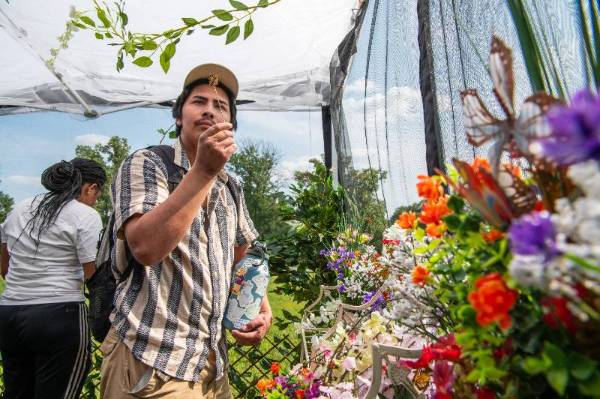 Person in a butterfly garden holding a stick which a butterfly landed on in one hand and water bottle in the other inside a greenhouse