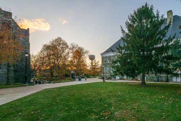 picture of a sunset on the quad of campus