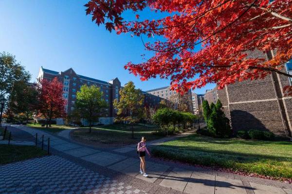 Picture of student walking along a path during the Fall and a tree which has leaves that are a deep bright red against a clear blue sky