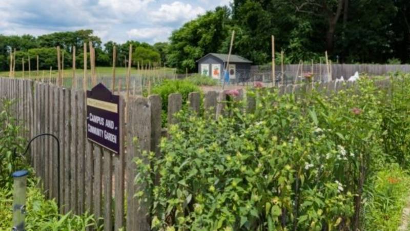 person standing on wcu campus by a flowering tree with a tour group