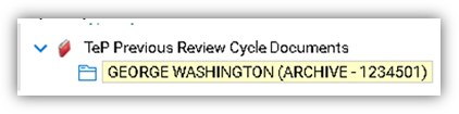 Screenshot of TeP Previous Review Cycle Documents uploaded