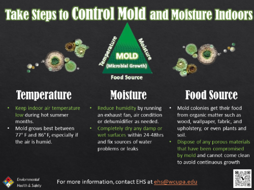 Take Steps to Control Mold and Moisture Indoors