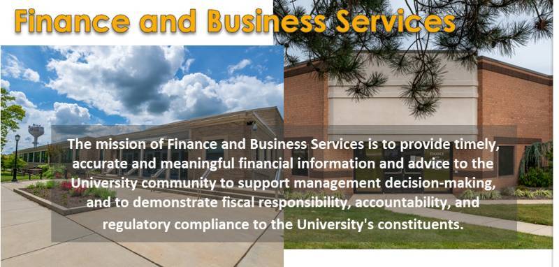 Finance and Business Services
