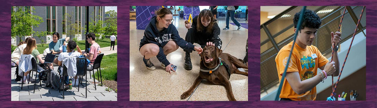 WCU Student Dashboards