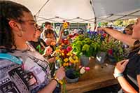 Decorative Ramboree photo thumbnail of event in 2025 - 1