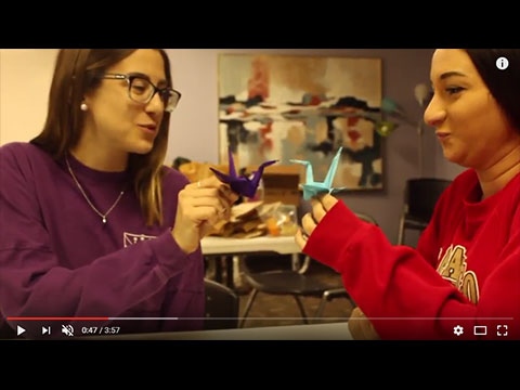 Alternative break video image capture