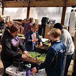 Alternative Break Students