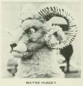 Wayne Hussey