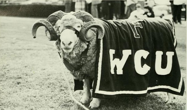 1986 Ram Animal
