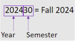 Year and Semester Term Codes