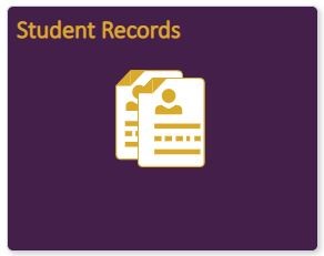 Student Records icon