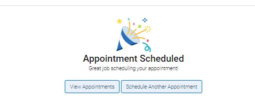 Setting Up an Appointment Campaign 18