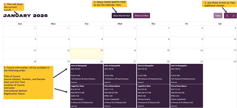 Figure 4: Screenshot of schedule view in month view