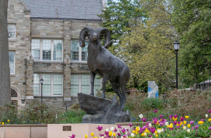 Image of West Chester University's Ram Statue