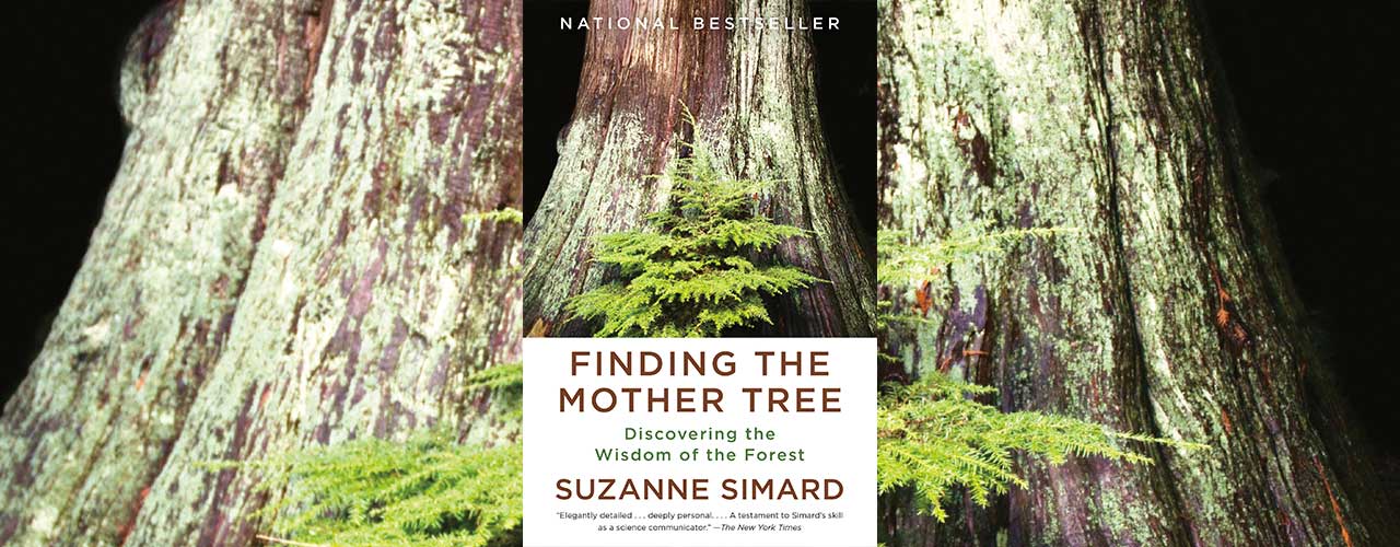 Forest Ecology Professor and Author Suzanne Simard to Speak at WCU
