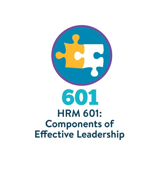 601 Components of effective leadership