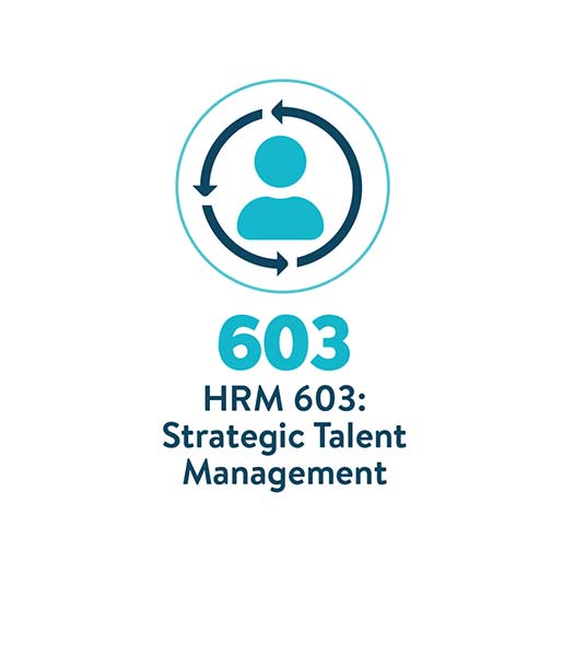 603 strategic talent management