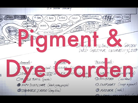 Watch the Natural Pigments and Dyes Garden video