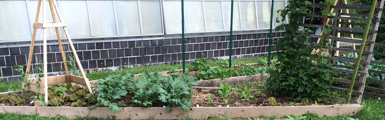 North Campus Garden - West Chester University