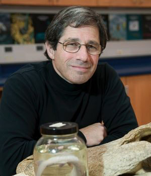 Headshot of Dr. Frank Fish
