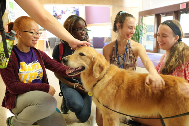 therapy Dogs at west chester