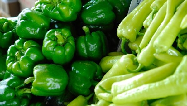 Vegetables for study