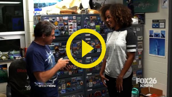 Xploration Station feature