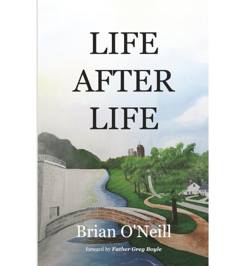 Life after Life book