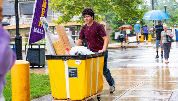 Move In