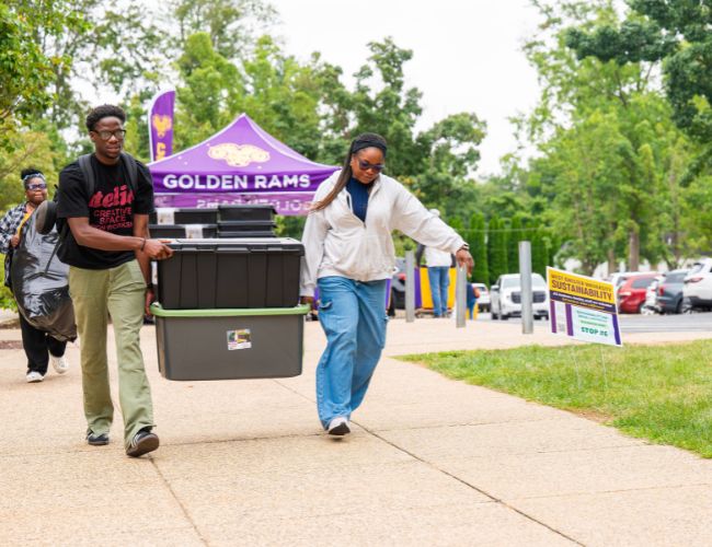 Move In Move In