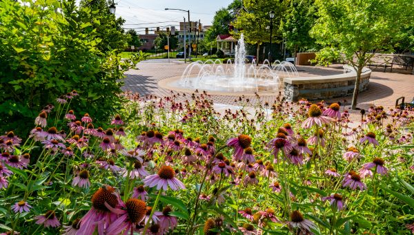 WCU campus fountain