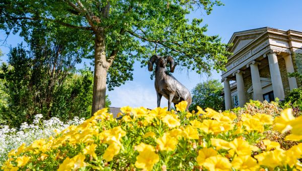 WCU Campus Ram Statue