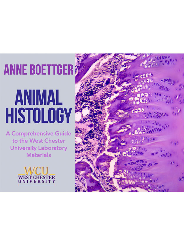 Anne Botteger Book