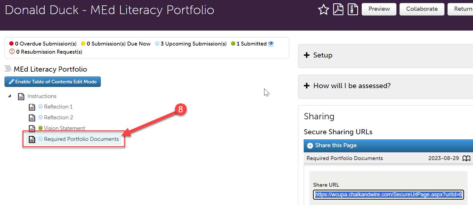 required portfolio documents