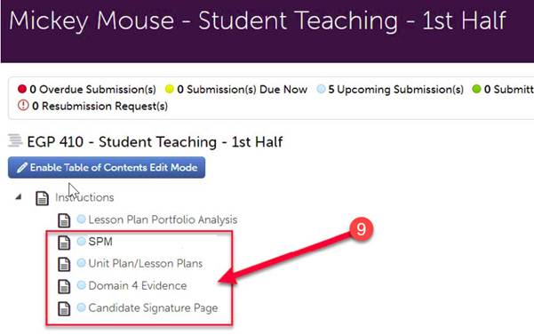 portfolio instructions