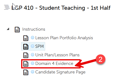 domain 4 evidence tab