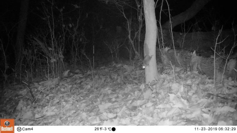 The first SFS noted in the GNA