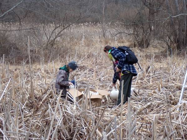 GNA Student Interns Alden Ritchey and Leah Fenton assembling the Purple Martin 'Gourds'