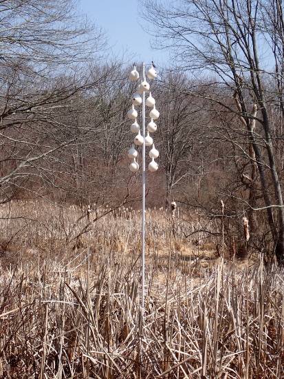 The completed Purple Martin housing development