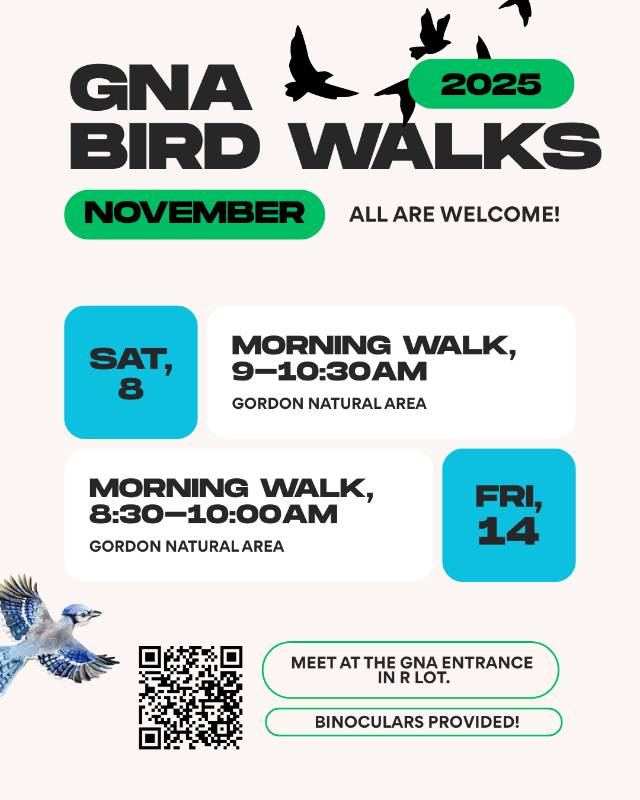 November's Bird Walk schedule
