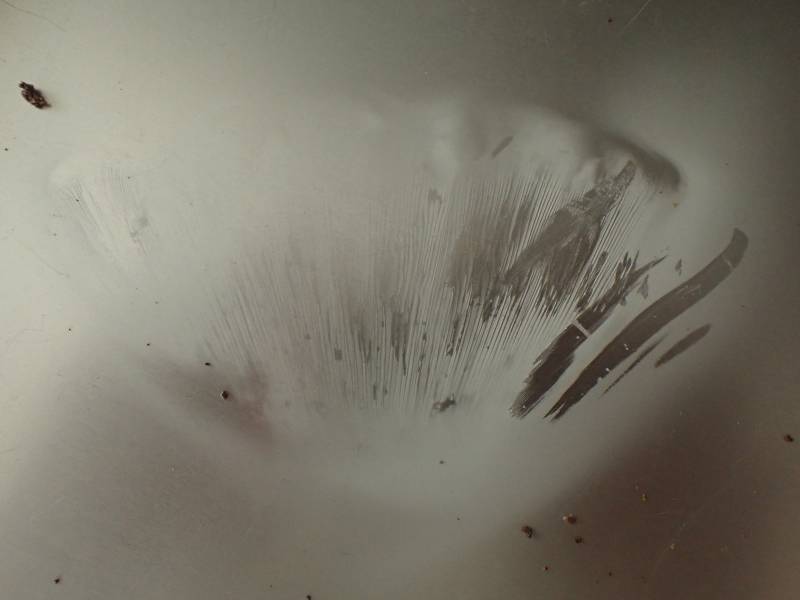 False Chanterelle (Hygrophoropsis aurantiaca)