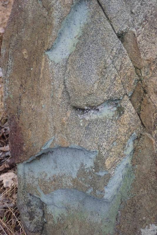 Dust Lichen (Lepraria Indet. #1)