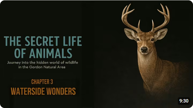 The Secret Life of Animal's - Part 3