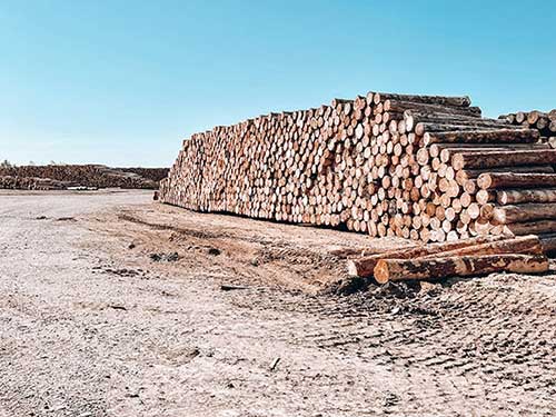 logs stacked