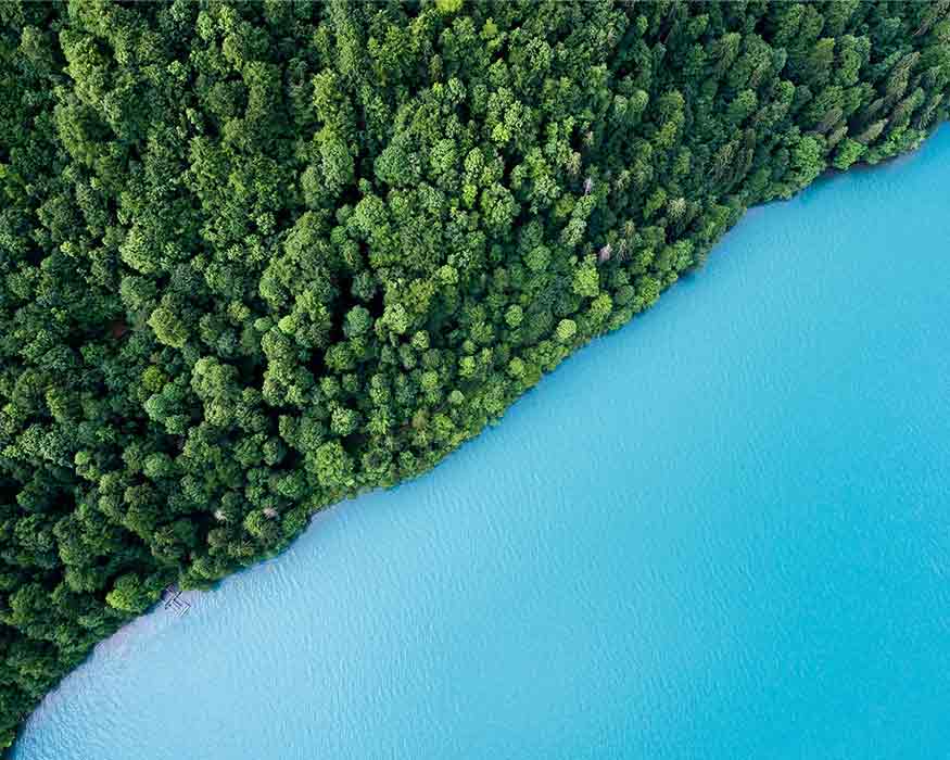 SHoreline from an Aerial view